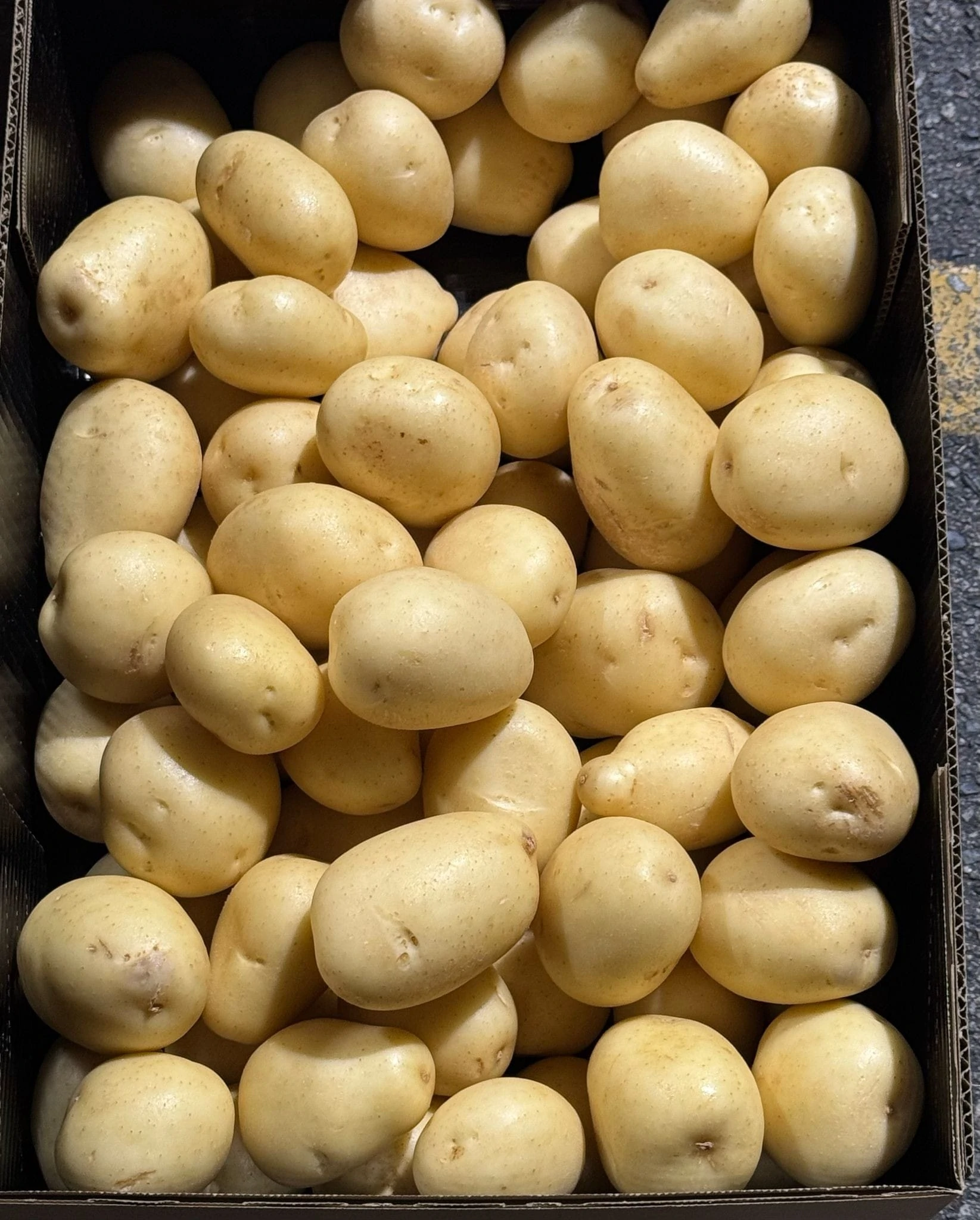 A box filled with fresh, white potatoes stacked neatly inside.