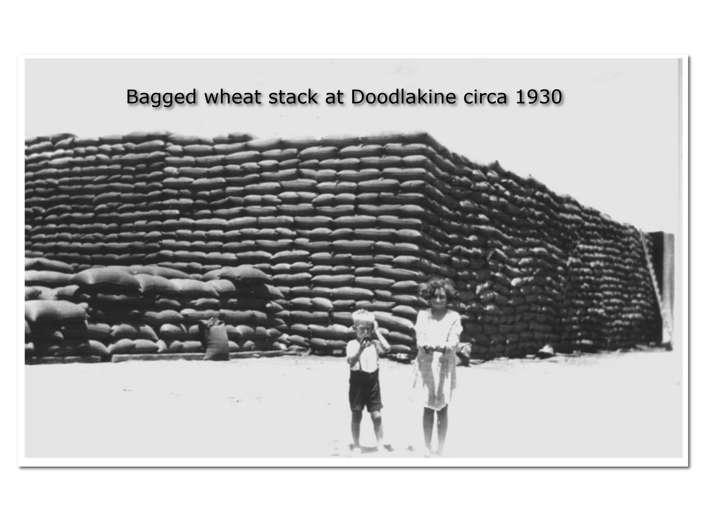 Bagged Wheat Stack at Doodlakine Circa 1930