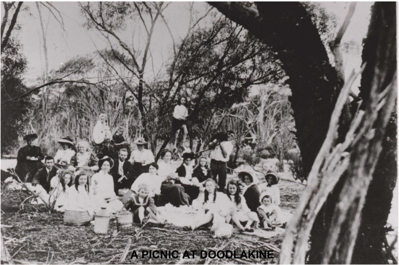 Image showing a picnic at Doodlakine